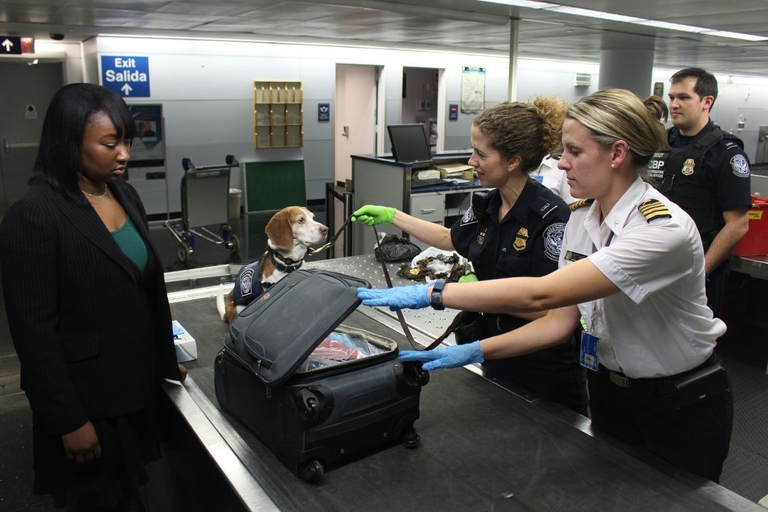 IATA DGR Kontrollpersonen Modul O